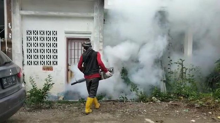 Dinkes Mamuju menggencarkan fogging demi mencegah DBD.
