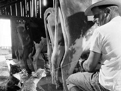 14 Foto Jadul Punya Cerita Mencekam dan Menyentuh Hati