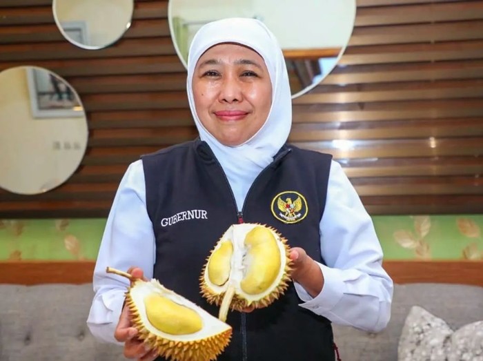 Gubernur Jatim Khofifah Indar Parawansa merupakan penggemar durian atau duren. Ia banyak tahu soal durian termasuk durian musang king dari Wonosalam, Jombang.