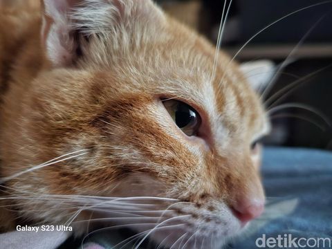 Hasil foto Samsung Galaxy S23 Ultra