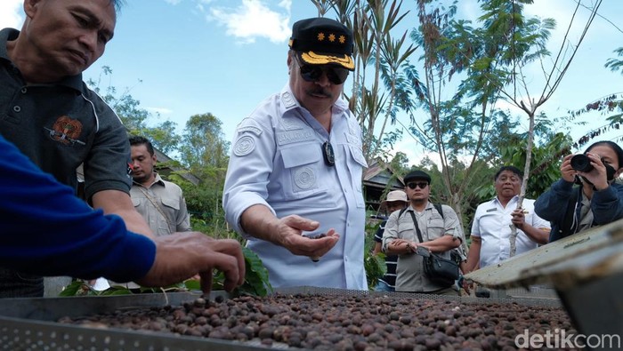 Inspektur Jenderal Kementan, Jan Samuel Maringka saat berkunjung di kebun kopi Tana Toraja.