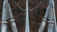 Jembatan gantung itu juga diharapkan menjadi daya tarik wisata utama di Black Forest.