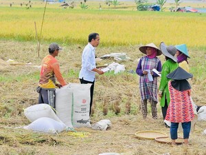 Jokowi Tiba-tiba Turun Mobil Temui Petani di Sawah, Ada Apa?