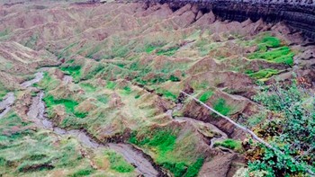 Sejak pohon-pohon ditebang dan terjadi peningkatan suhu akibat pemanasan global, permafrost pun mulai mencair. Foto: Alexander Gabyshev/Siberian Times