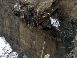 Gerbang ke Neraka di Siberia Makin Melebar, Ini Sebabnya