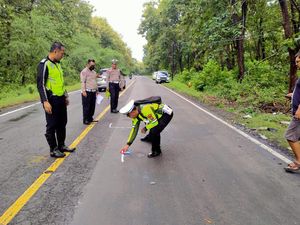 Analisis Pakar soal Kecelakaan Maut Moge Adu Banteng dengan Bus Situbondo