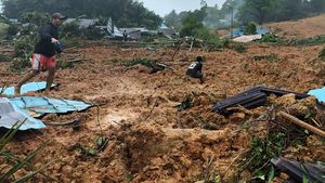 BPBD Kepri Ralat Jumlah Korban Meninggal Longsor Natuna: 11 Orang