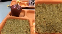Seorang siswa mengadukan makan siang yang menjijikan kepada orang tuanya. Ia tak terima disajikan bubur kacang dan sebuah apel yang tak layak dimakan. Foto: The New York Post