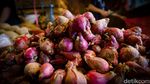 Pasokan Ramadhan, 175 Ton Bawang Merah Brebes Tiba di Jakarta