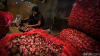 Sebelumnya, pemerintah melakukan panen raya sekaligus pelepasan bawang merah. 