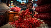 Stok cabai yang datang hari ini sebanyak 5 truk. Cabai-cabai tersebut berasal dari Temanggung, Magelang, Wonosobo, Garut, dan Sumedang. 