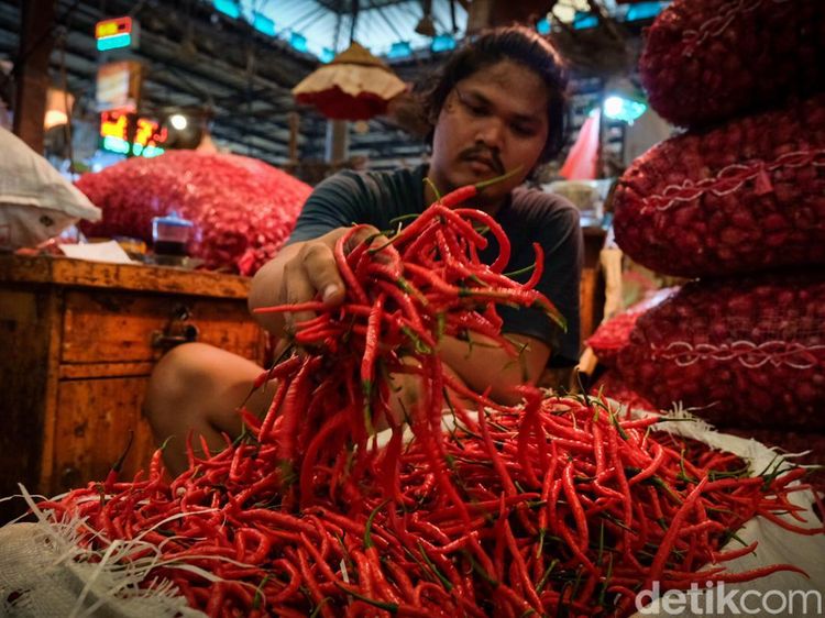 Pedas! Harga Cabai di Jakarta Naik Hari Ini