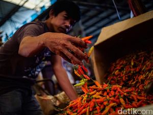 Harga Cabai Rawit Terjun Bebas di Denpasar, Kini Rp 35 Ribu per Kilo