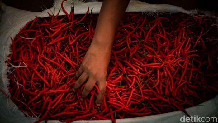 Harga cabai di DKI Jakarta terpantau naik hari ini. Harga komoditas yang naik adalah cabai merah keriting dan cabai rawit merah, Senin (6/3/2023).