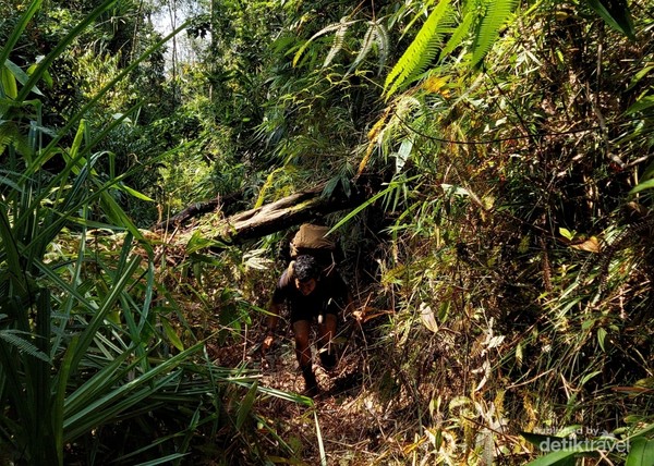 Waspada saat trekking