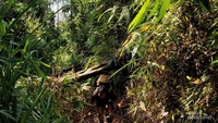 Waspada saat trekking