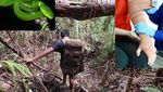 Pendaki Wajib Tau, Ini Pertolongan Pertama Digigit Ular