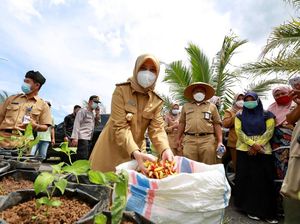 Stok Cabai-Bawang Merah di Banyuwangi Aman Saat Ramadan dan Lebaran
