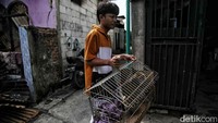 Jokowi mengatakan zona lokasi memang terbilang bahaya. Dia berharap ada relokasi Depo Pertamina atau tempat tinggal warga.