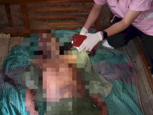 Korban jatuh dari pohon lontar di Kupang Tengah, NTT, Senin (6/3/2023).