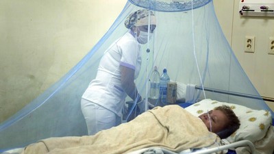 Wabah Chikungunya Landa Paraguay, Lebih dari 1.200 Kasus dalam Tiga Minggu