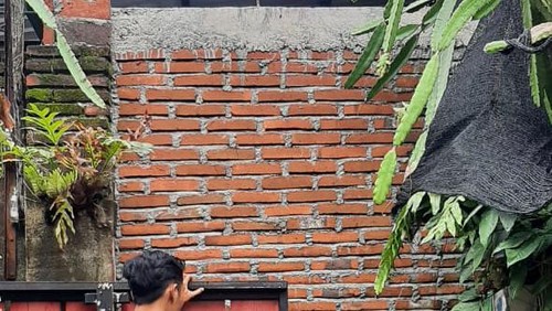 Gang warga di Mataram ditembok Karana sering cekcok. Tetangganya terpaksa mengungsi ke rumah keluarganya, Selasa (28/2/2023).