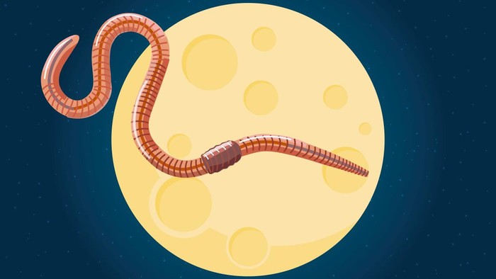 Worm Moon