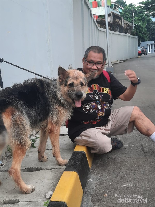 Anjing dan pengunjung di Unit Satwa K9 Polda Metro Jaya