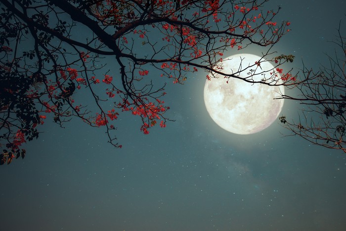 Ilustrasi bulan purnama