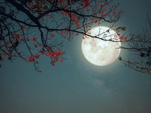 Fenomena Purnama Buck Moon Bakal Terjadi 10 Juli 2025, Apa Itu?