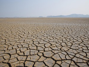 Kemarau Jatim Belum Usai, Ini Dampaknya bagi Kesehatan dan Sanitasi