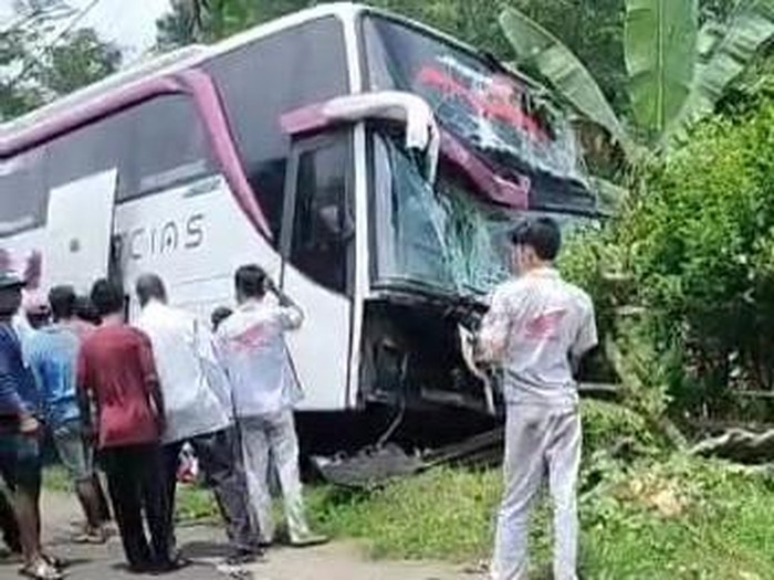 kecelakaan beruntun probolinggo libatkan bus pariwisata