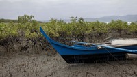 Sebelumnya kapal tanker Princess Empress yang membawa 800.000 liter bahan bakar minyak industri mengalami masalah mesin dan tenggelam di laut lepas di Naujan pada Selasa (28/2/2023) lalu.