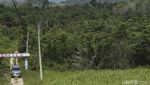 Potret Kehidupan Suku Anak Dalam di Pulau Sumatra