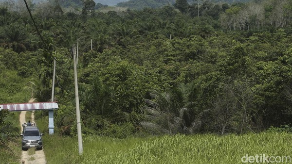 SAD memiliki cara sendiri untuk menyembuhkan kesedihan setelah anggota keluarga meninggal. Mereka akan pergi jauh atau disebut melangun. Â SAD memiliki cara sendiri untuk menyembuhkan kesedihan setelah anggota keluarga meninggal. Mereka akan pergi jauh atau disebut melangun. Â