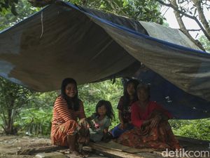 Suku Anak Dalam Jambi itu Apa? Ini Asal-usul, Tradisi-Kehidupan yang Dijalani