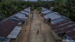 Potret Kehidupan Suku Anak Dalam di Pulau Sumatra