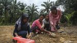 Potret Kehidupan Suku Anak Dalam di Pulau Sumatra