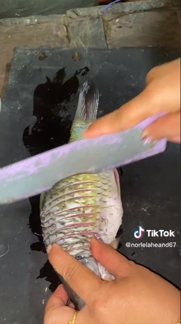 Makan ikan mentah yang difermentasi