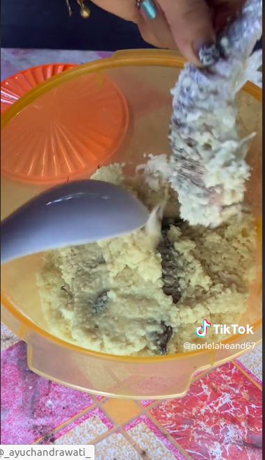Makan ikan mentah yang difermentasi