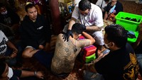 Festival Sak Yant hanya berlangsung pada awal bulan Maret. Menariknya, turis juga diizinkan untuk ditato asal mengikuti rangkaian acara selama festivalnya berlangsung. Foto-foto pun diperbolehkan, asal kuat melihat jarum besi menembus kulit.