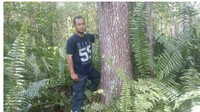 3. Masyarakat lokal memanfaatkan kayunya untuk pembuatan konstruksi ringan, jembatan, kapal, furnitur, flooring, panel, dan papan partikel. Hasil penelitian menunjukkan, manfaat geronggang juga sebagai antimikroorganisme, antioksidan, dan penangkal radikal bebas serta antikanker. Bagian kulit batangnya, daun, akar, dan resinnya dimanfaatkan sebagai obat gatal, luka, dan sakit perut. Foto: Peneliti BRIN