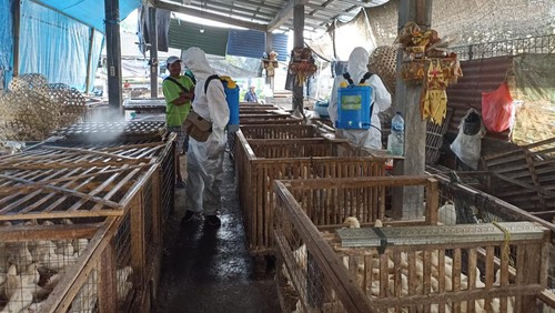Dinas Pertanian, Pangan dan Perikanan saat melakukan penyemprotan desinfektan di Pasar Amlapura Barat untuk mencegah virus flu burung Selasa (7/3/2023).