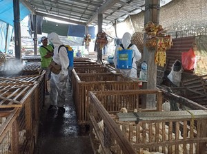 Pasar-Pelabuhan Disemprot Disinfektan Cegah Flu Burung Masuk Karangasem