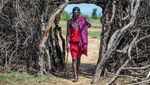 Potret Kehidupan Warga Maasai, Suku Tertua Afrika Timur