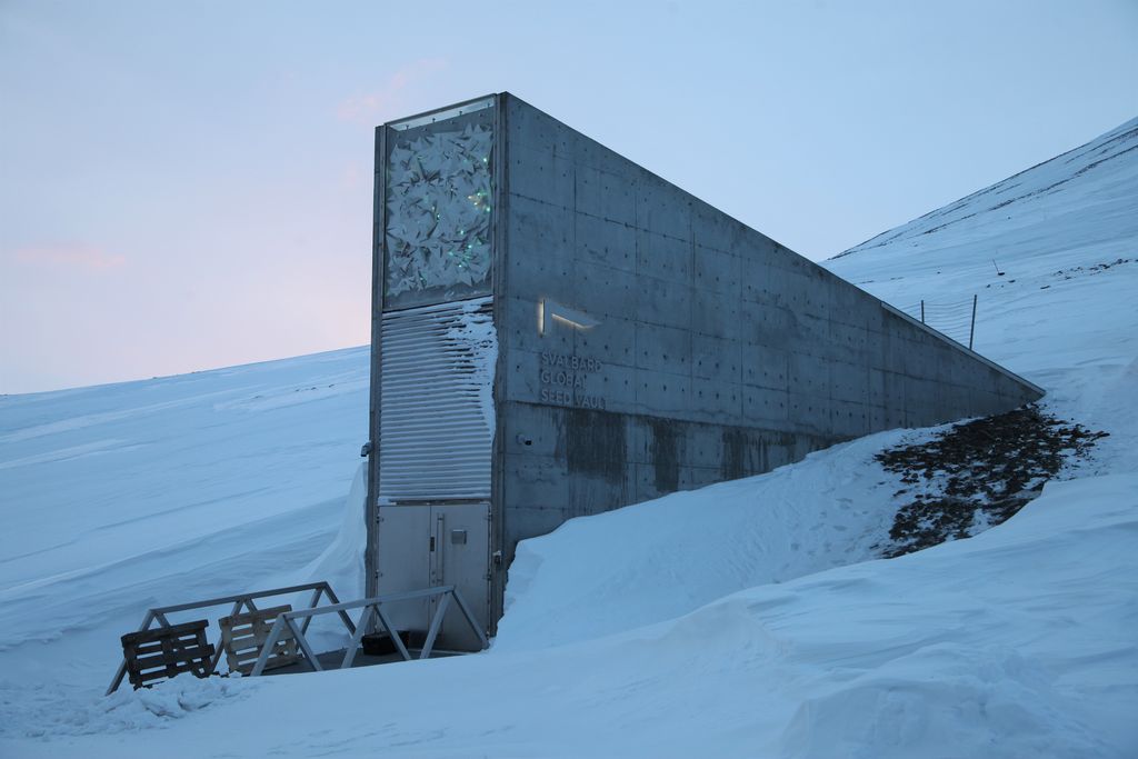 The global seed vault on Spitsbergendianggap sebagai semacam Arktik Bahtera Nuh untuk dunia tanaman. Tugas utama repositori, yang dibuka pada tahun 2008, adalah untuk melindungi keanekaragaman tumbuhan di Bumi dan dengan demikian juga persediaan makanan bagi umat manusia. Fasilitas ini juga memungkinkan bank gen untuk mengakses duplikat koleksi mereka jika terjadi bencana alam atau kehancuran akibat perang dan konflik, misalnya. (File Foto - Steffen Trumpf/picture alliance via Getty Images)