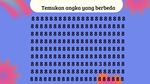 Tes Ketajaman Mata, Berhasil Temukan Angka Berbeda dalam 5 Detik?