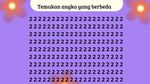 Tes Ketajaman Mata, Berhasil Temukan Angka Berbeda dalam 5 Detik?