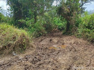 Komentar Guru Besar Unpad soal Event Trail yang Bikin Ranca Upas Merana