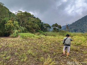 Buntut Rusaknya Ranca Upas, Lembang Haramkan Aktivitas Trail